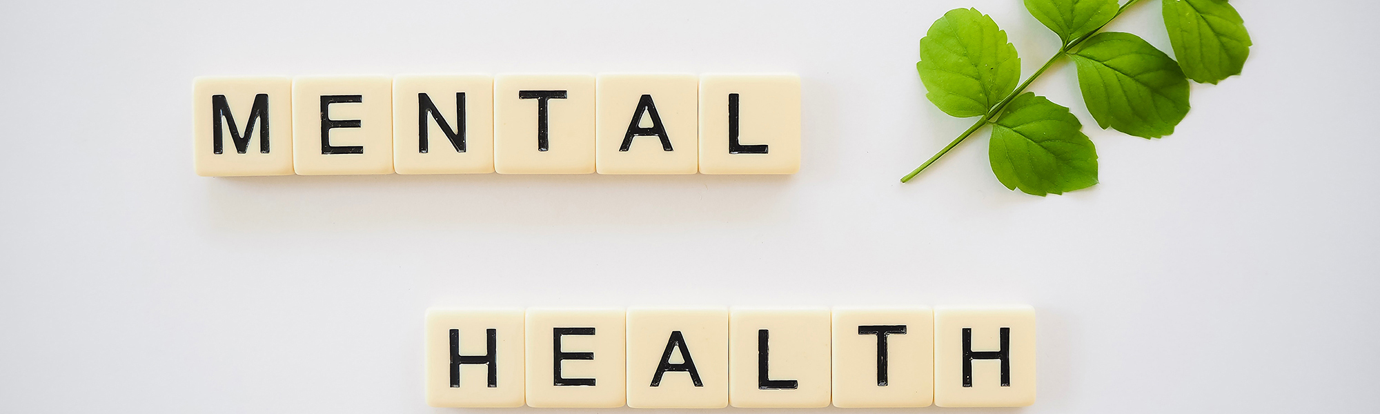 Words Mental Health in wooden blocks with a green plant stem