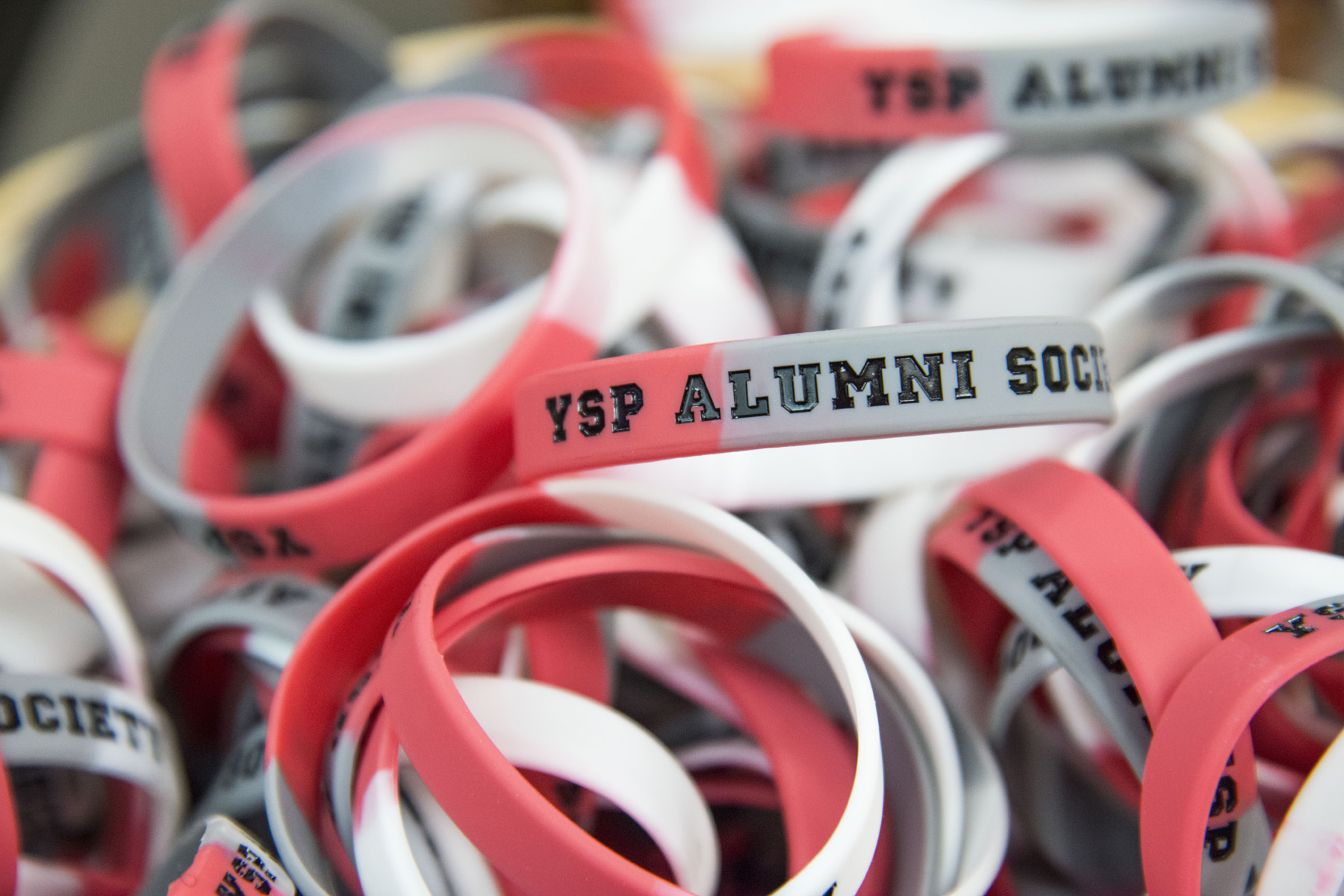 YSP Alumni Society rubber bracelets in white, scarlet and grey