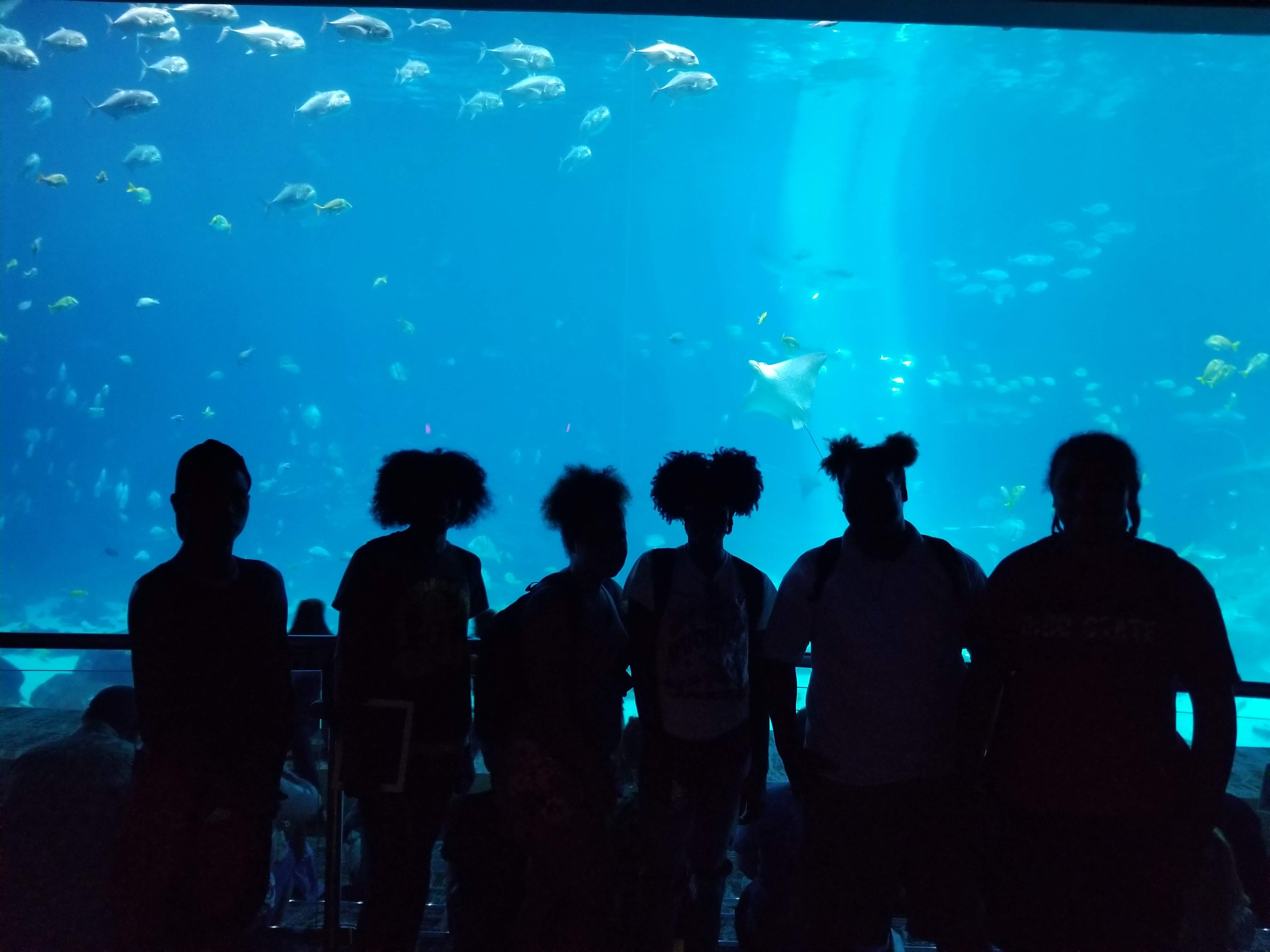 Upward Bound students stand in front of a large aquarium