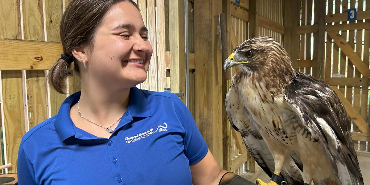 Isabel Merriman Velez holds a red-tailed hawk