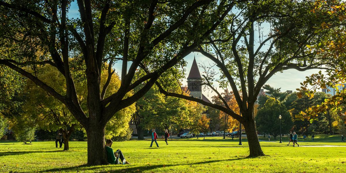 Ohio State Oval in the spring time with green grass and Orton Hall