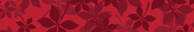 Scattered Buckeye leaves in shades of scarlet
