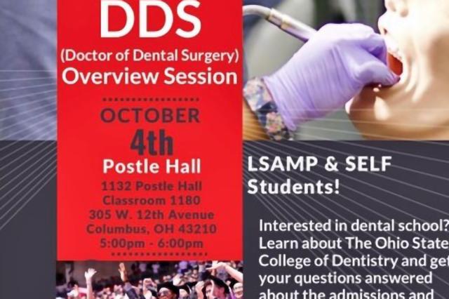 Flier for DDS overview session